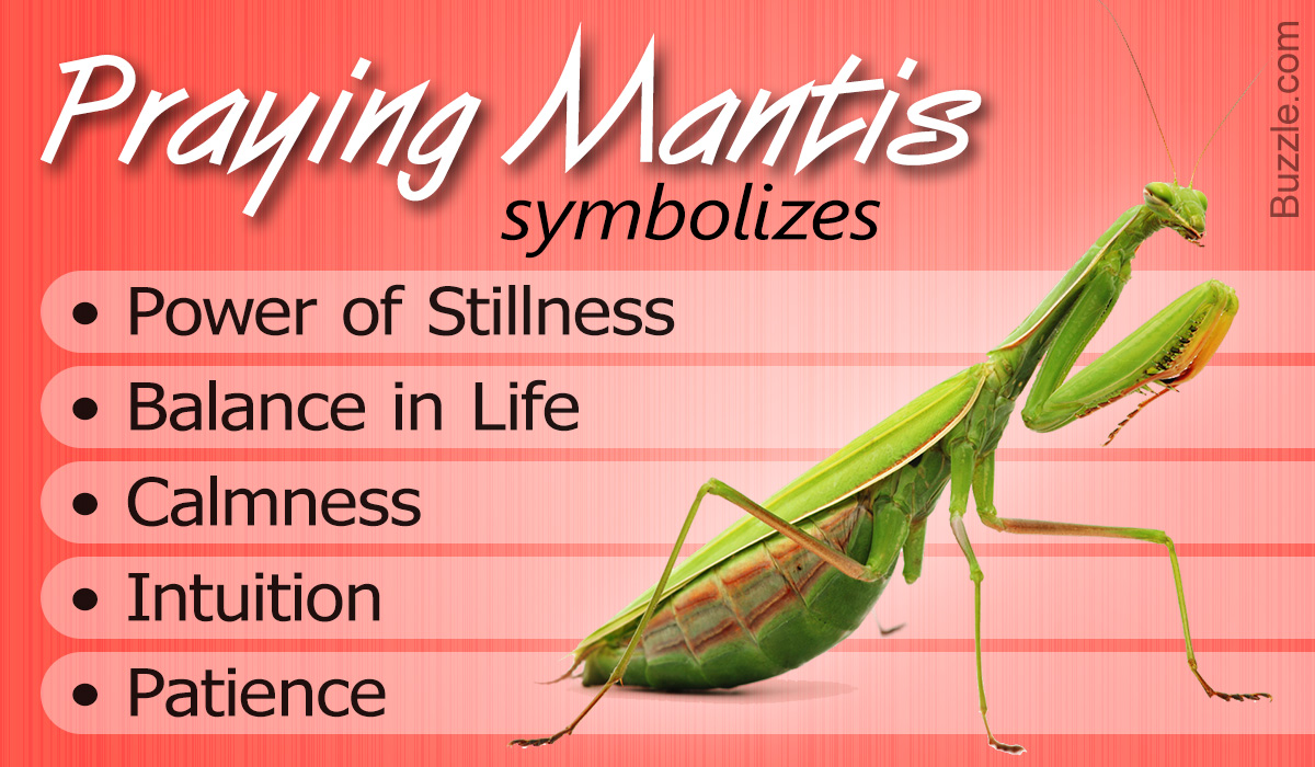 What does a Praying Mantis Symbolize?