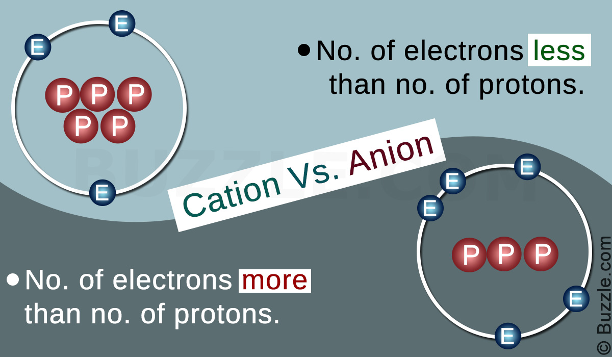 Difference Between a Cation and an Anion