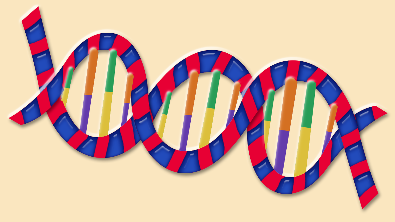 how to make dna structure model