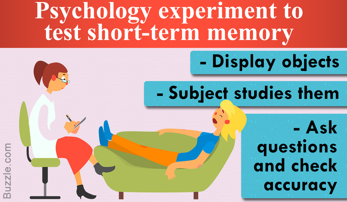 Psychology Experiment Ideas for High School Students
