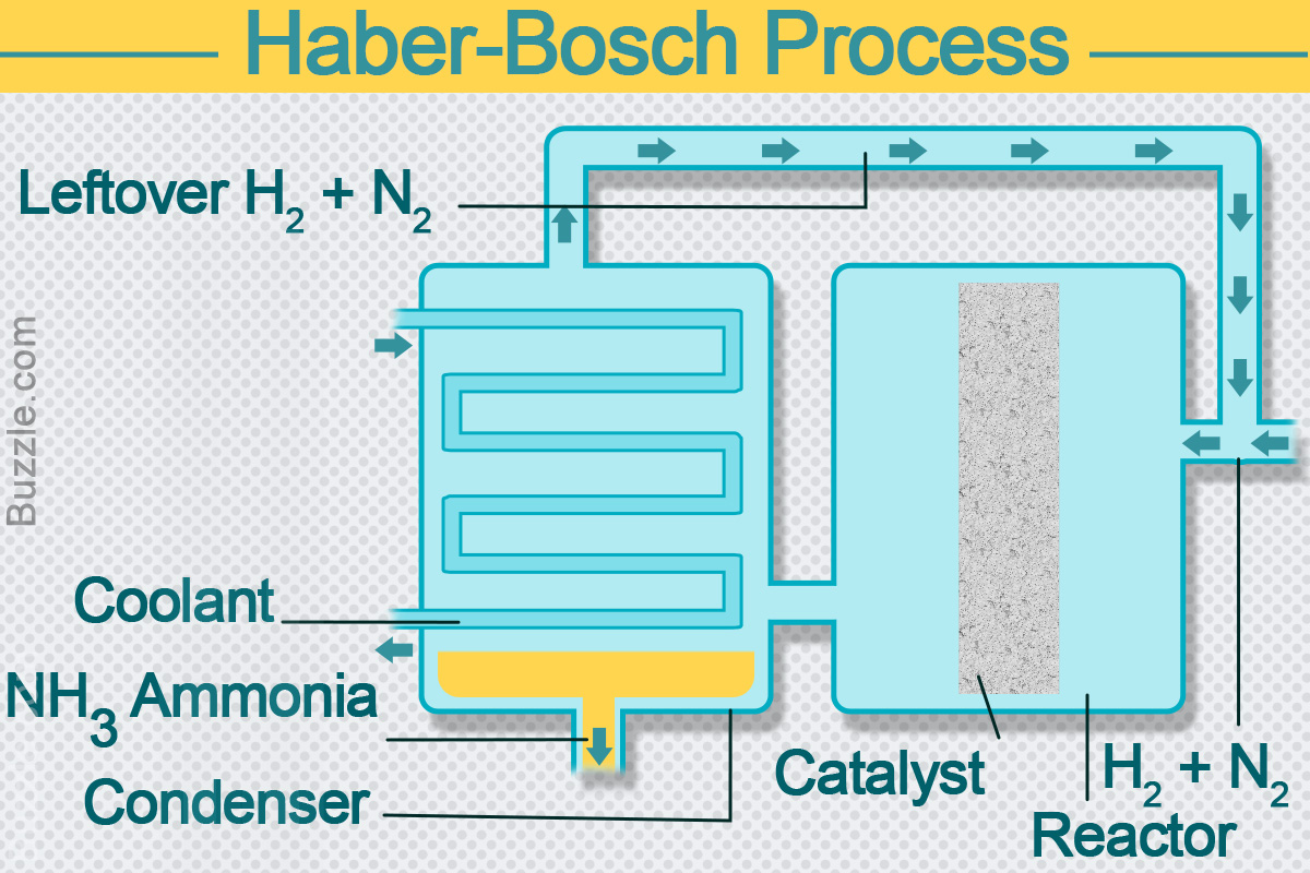 Explanation of Haber-Bosch Process for Ammonia Production