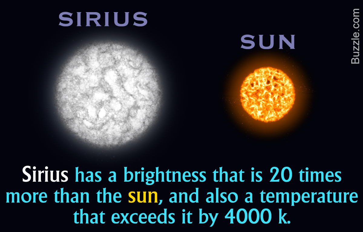 15 Interesting Facts About the Sirius Star You May Not Know