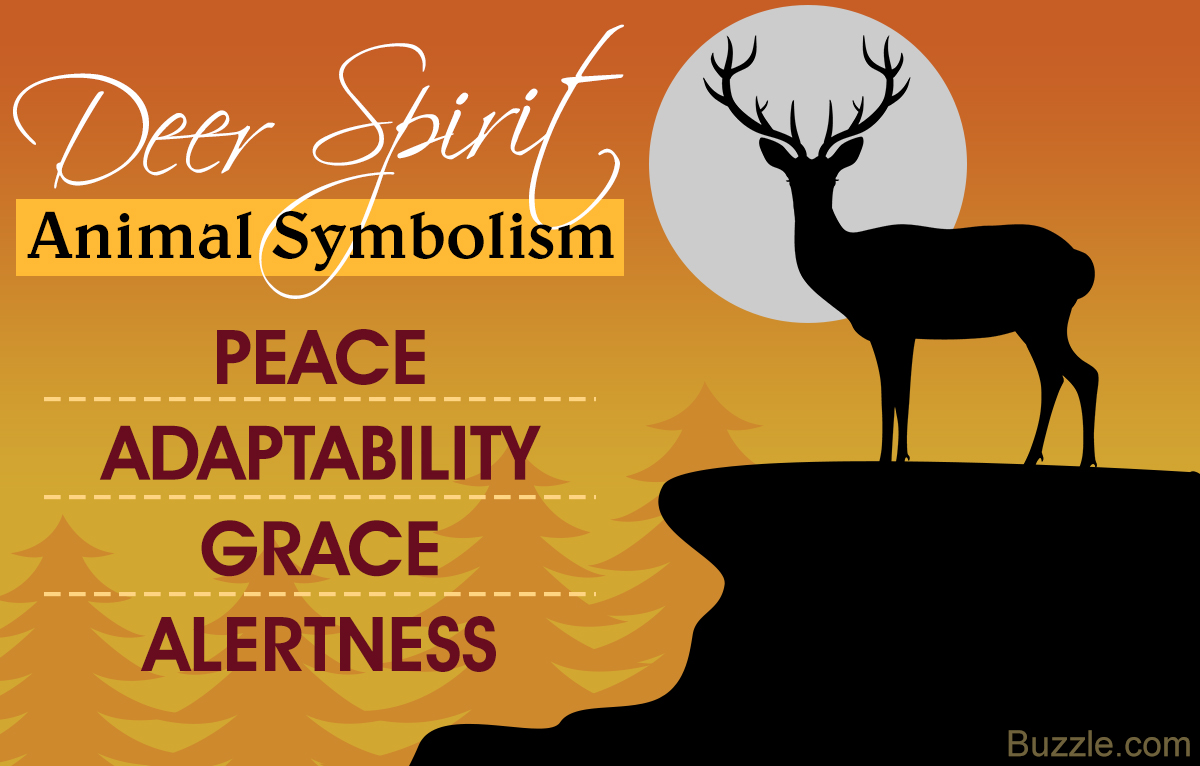 Deer Spirit Animal: What Does it Symbolize? - Mysticurious