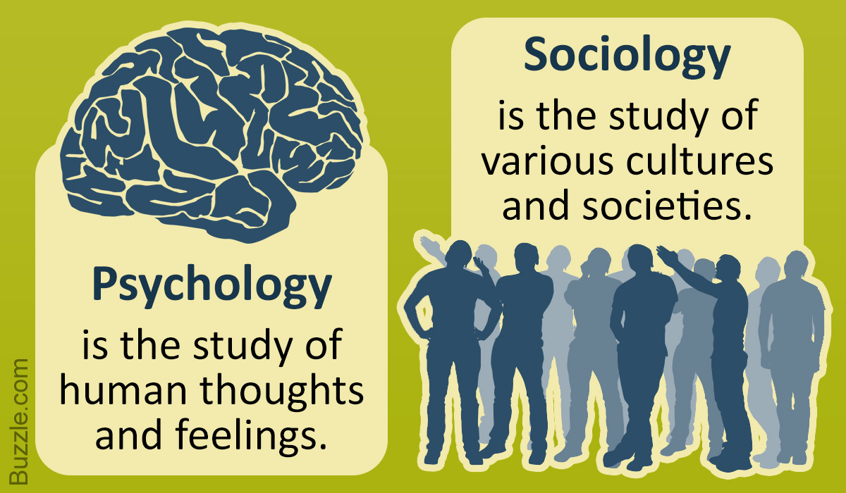 Sociology and Psychology - What's the Difference?