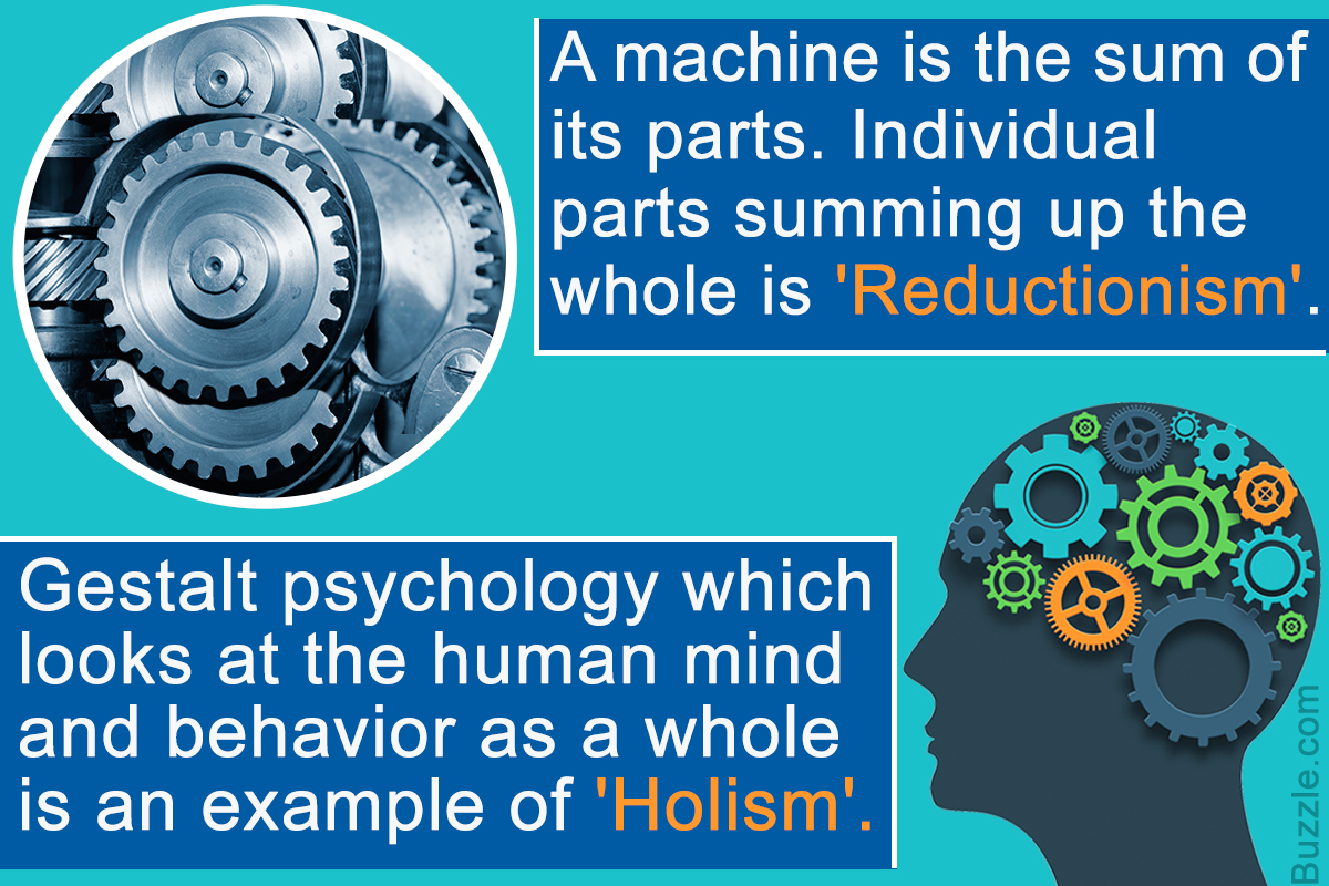 Difference Between Holism and Reductionism