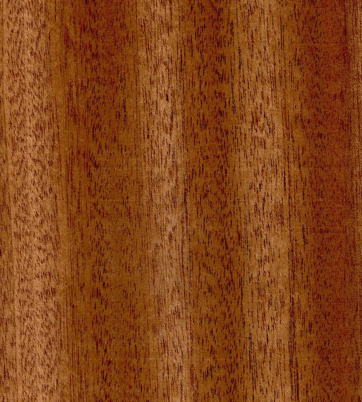 Сапеле древесина махагон
