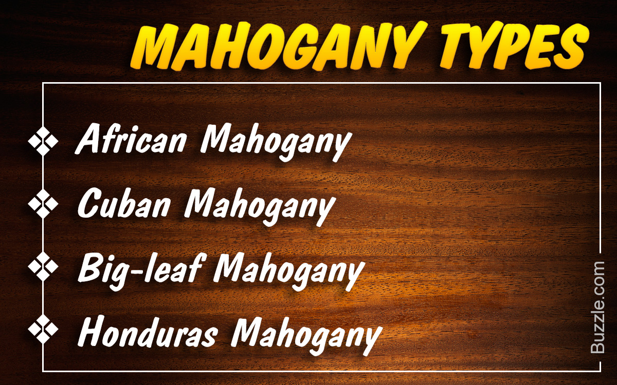 10 Types of Mahogany Wood