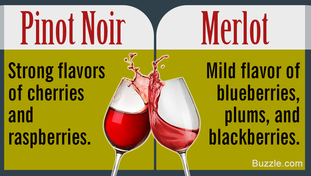 Pinot Noir Vs. Merlot: What's the Difference?