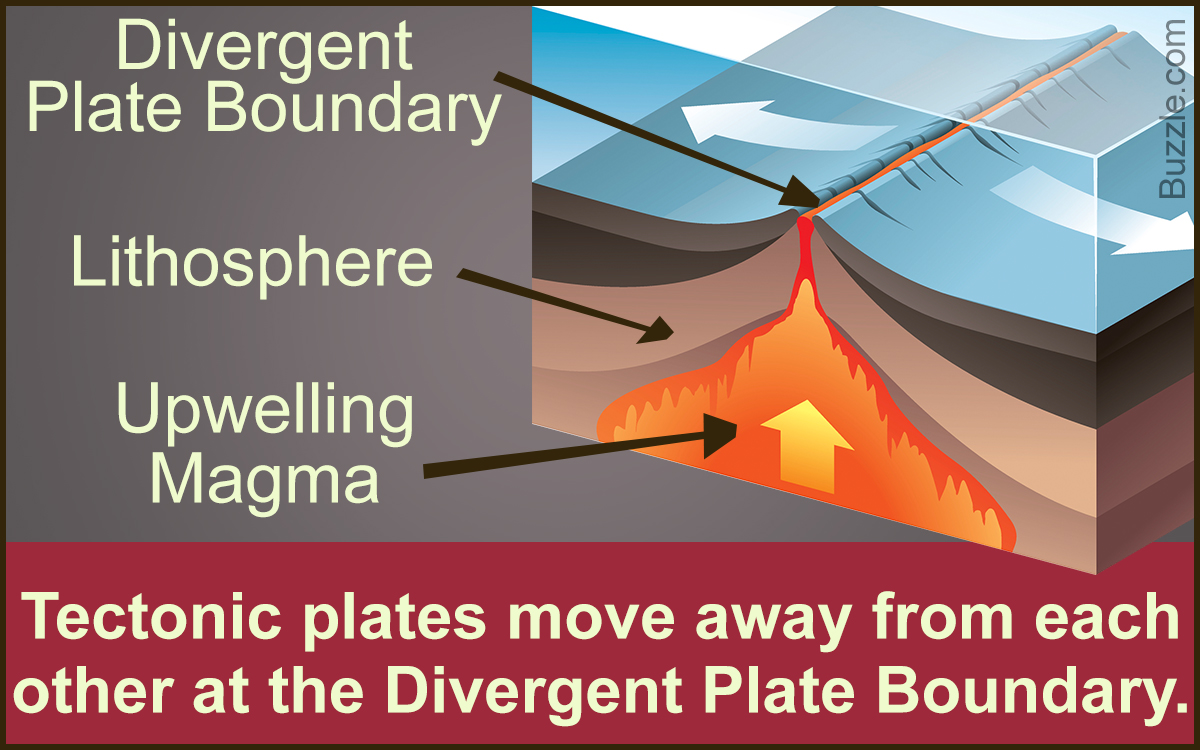 Facts About the Divergent Plate Boundary Explained with a Diagram