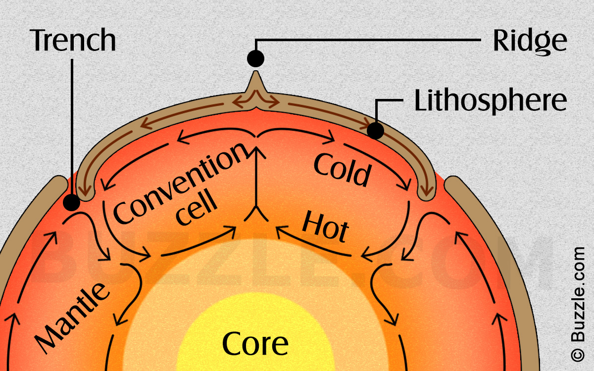 What are Convection Cells and How do They Work?