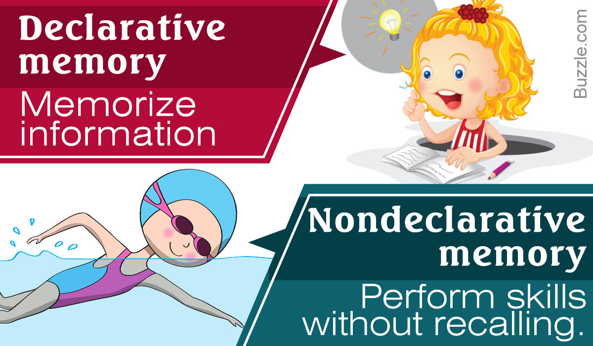 Difference Between Declarative and Nondeclarative Memory