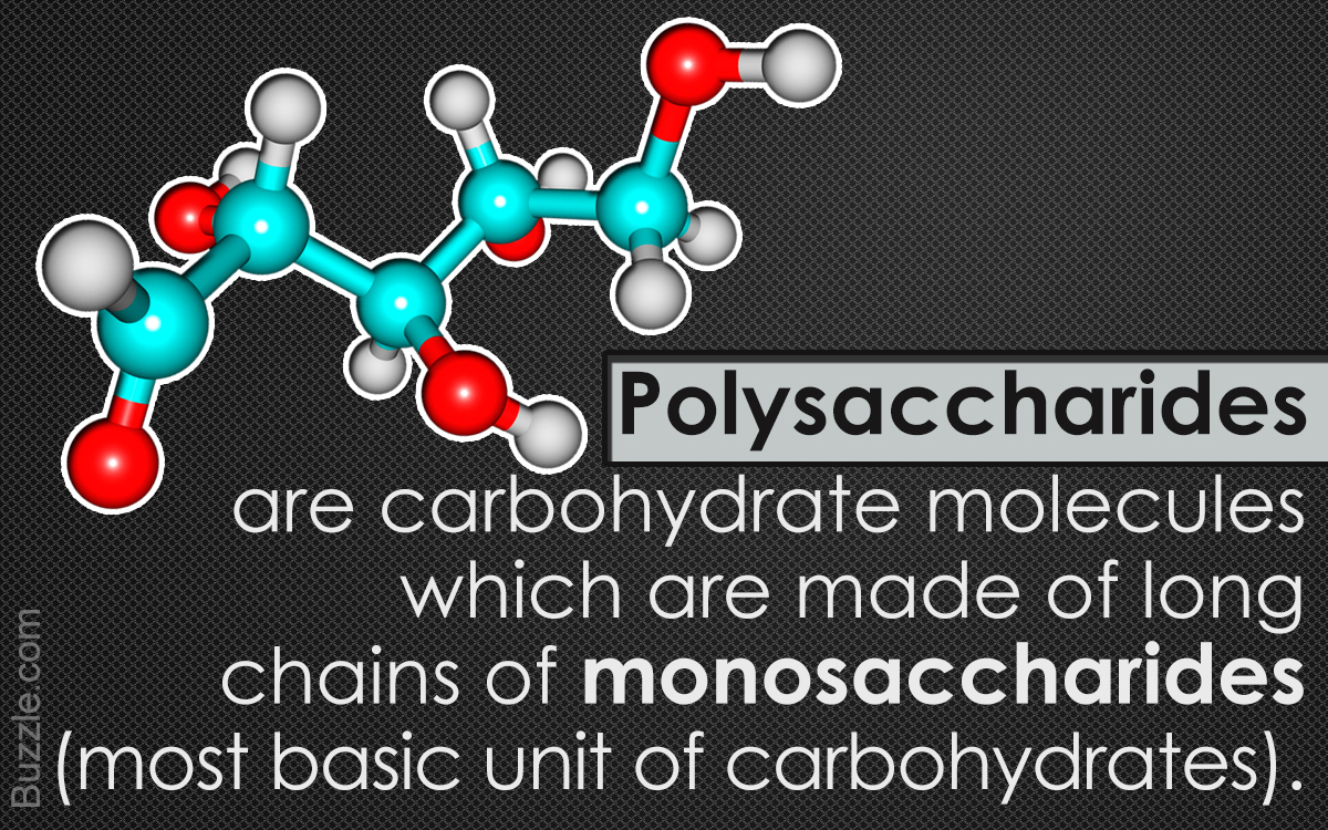 Polysaccharides Explained With Examples