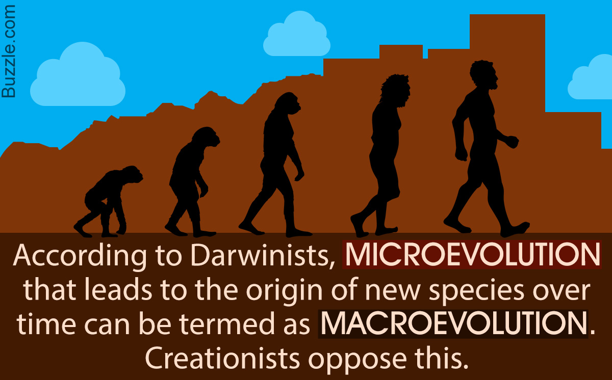Microevolution Vs. Macroevolution - What's the Difference?