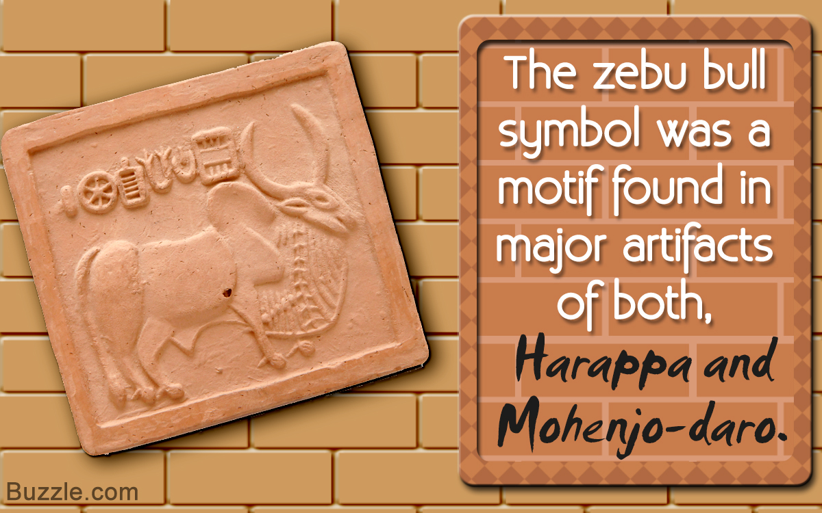 Similarities and Differences in Mohenjo-daro and Harappa Civilizations -  Historyplex