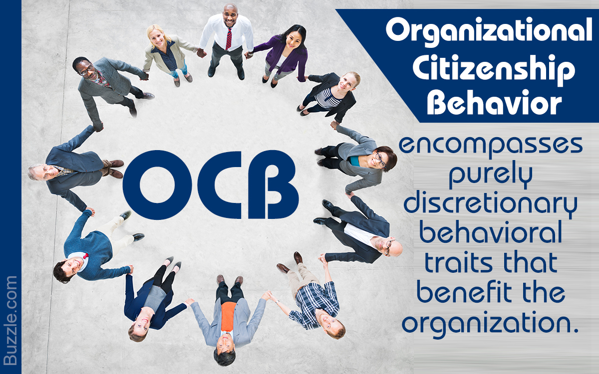 Explanation of Organizational Citizenship Behavior (OCB) With Examples