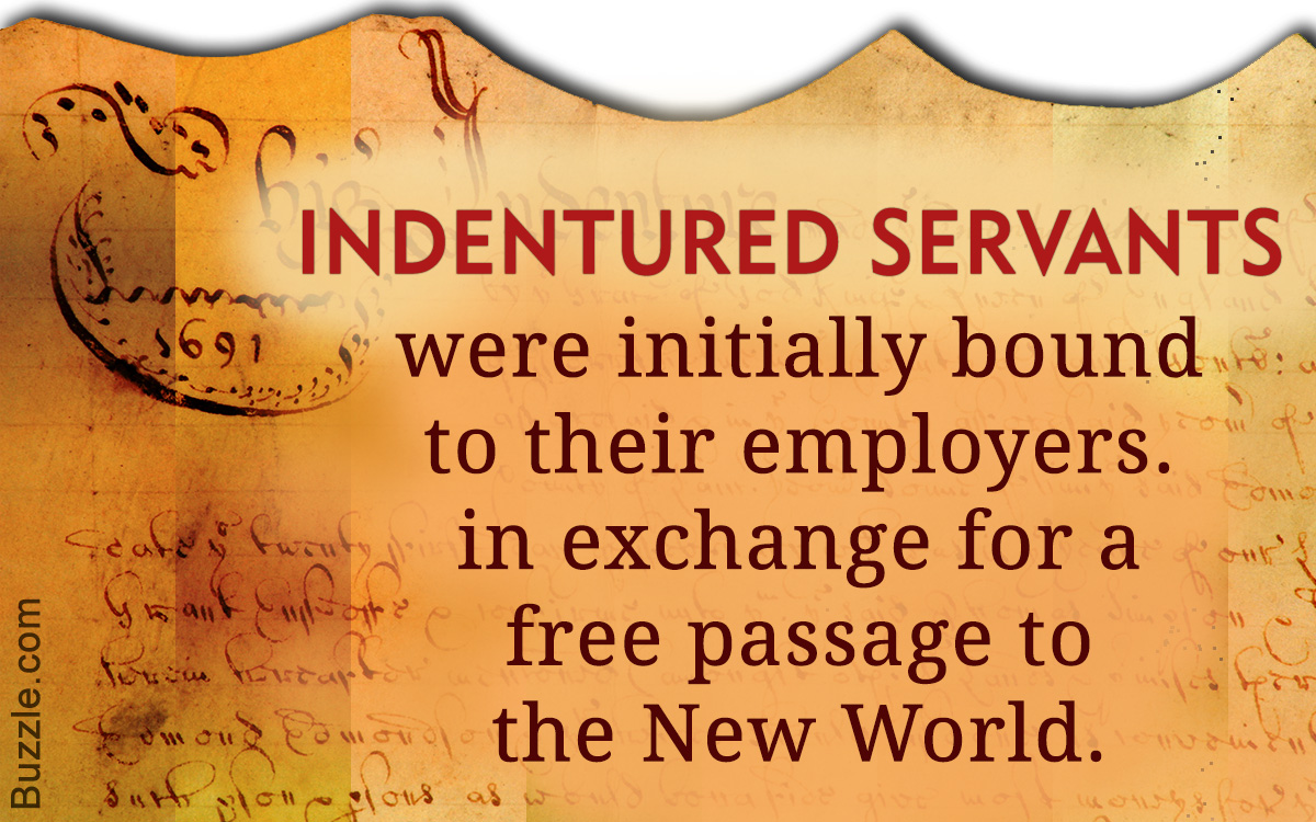 Indentured Servant System Explained with Examples