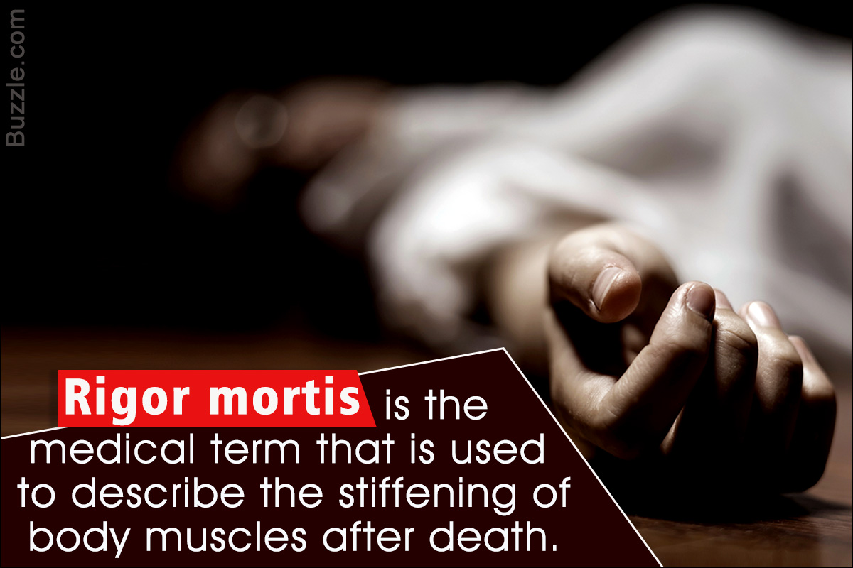 Explanation About the Process of Rigor Mortis