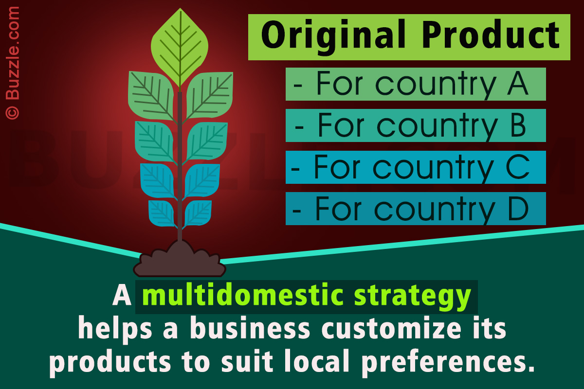 What Does Multidomestic Strategy Mean in Business?