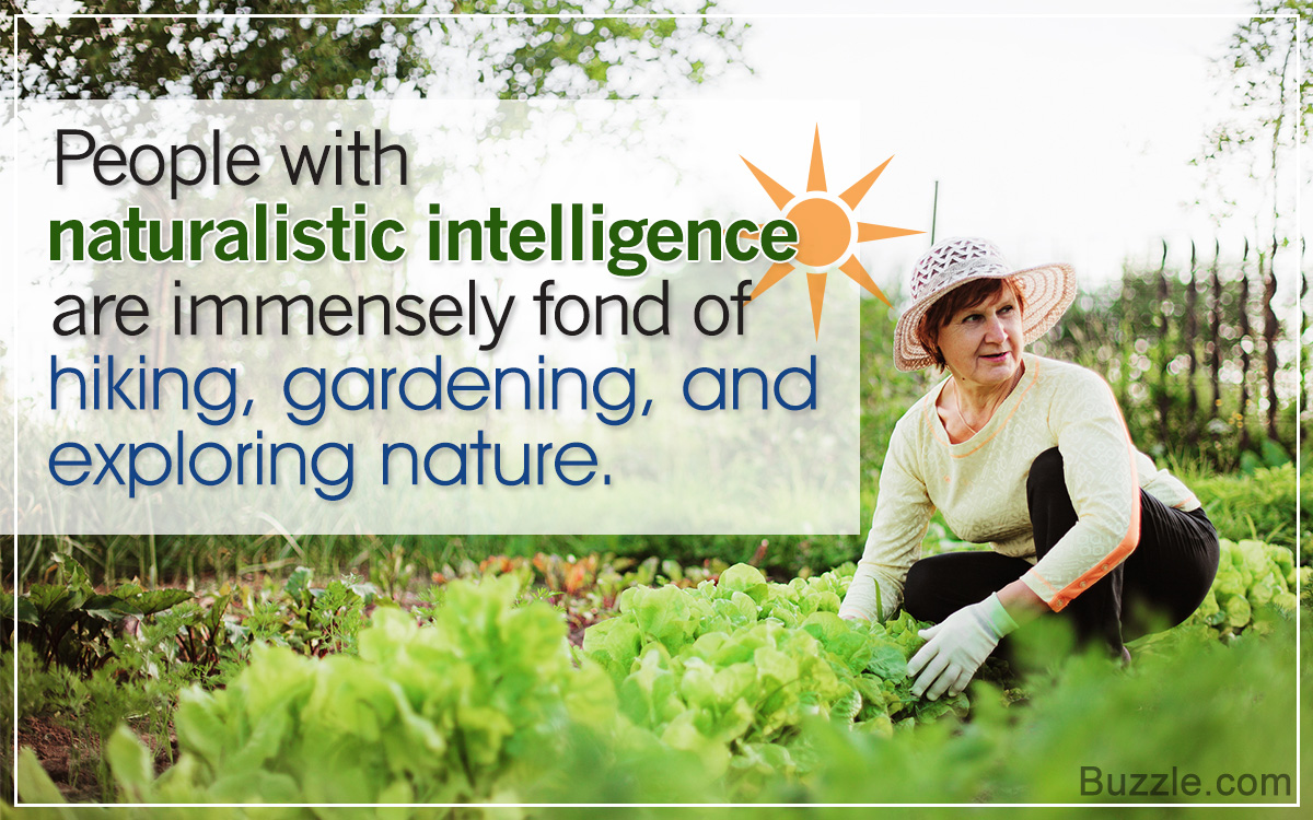 activities for naturalistic intelligence