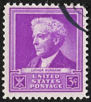 Luther Burbank Stamp