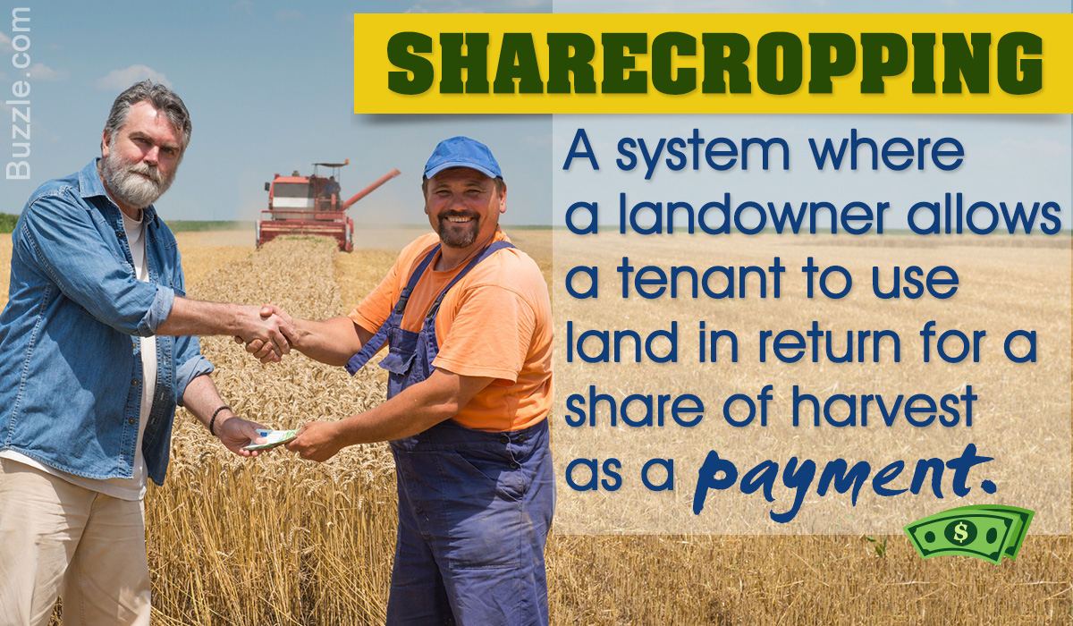The Sharecropping System Explained