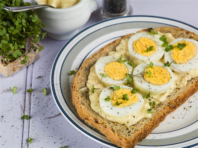 Egg And Cress Open Sandwich On Brown Bread