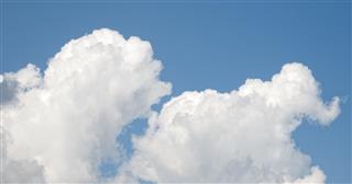Elephant white cloud in sky