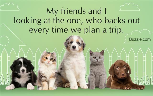 Funny Friendship Quotes That'll Have You and Your Gang Chuckling -  Quotabulary