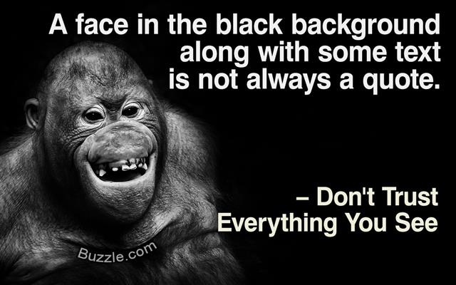 Funny orangutan monkey smiling - black background