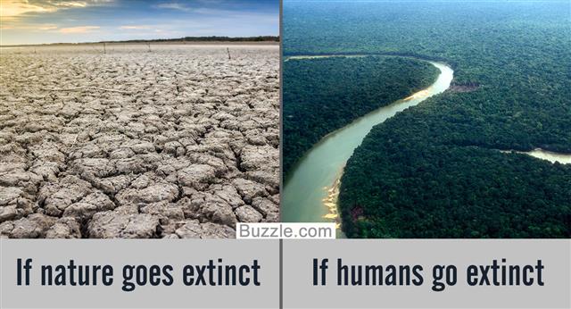 亚马逊星球，土地干裂