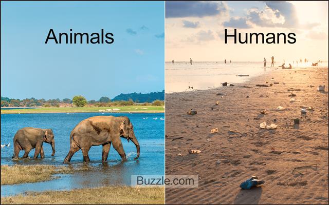 Earth-shattering Ways How Humans Affect the Environment - Help Save Nature