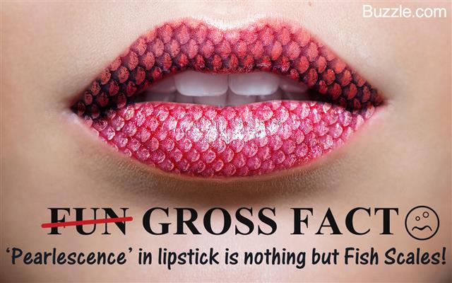 Close-up of female lips wearing glossy lipstick,Salmon