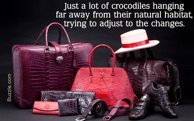 Crocodile leather products