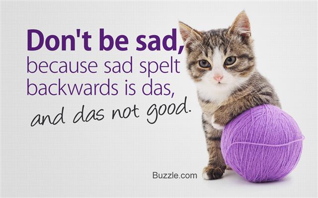 These Comical Quotes on Life Will Tickle Your Funny Bone - Quotabulary