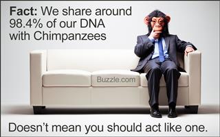 Chimp Man - Business Costume Humor Fool Idiot