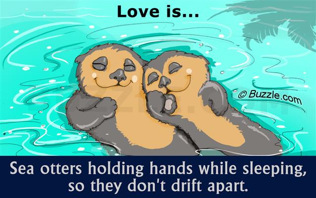 Fact about Sea otters