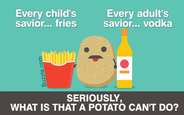 Potato Lovers Concept