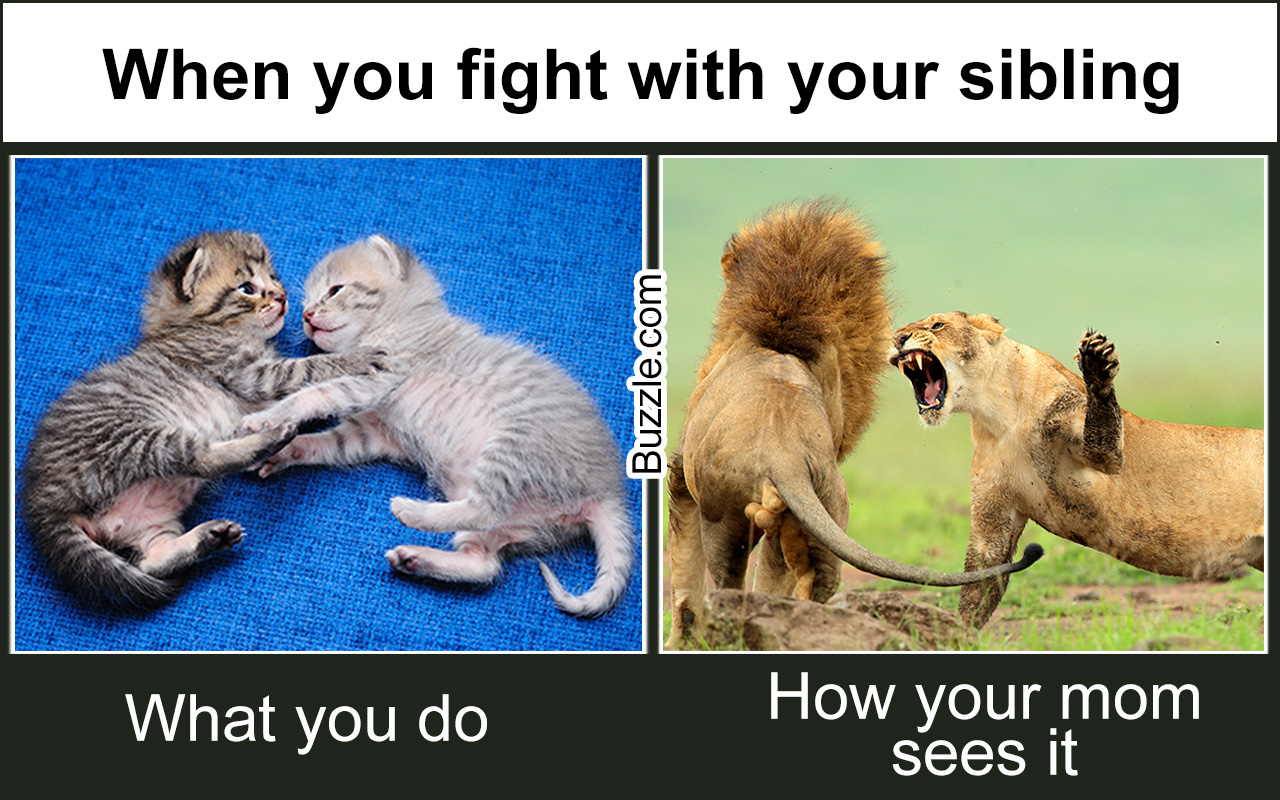 sibling fight funny