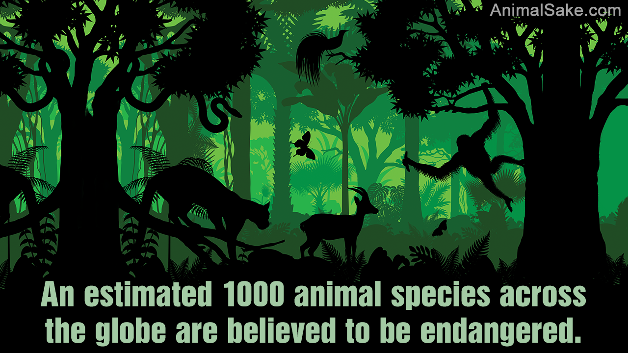 List of All Endangered Species