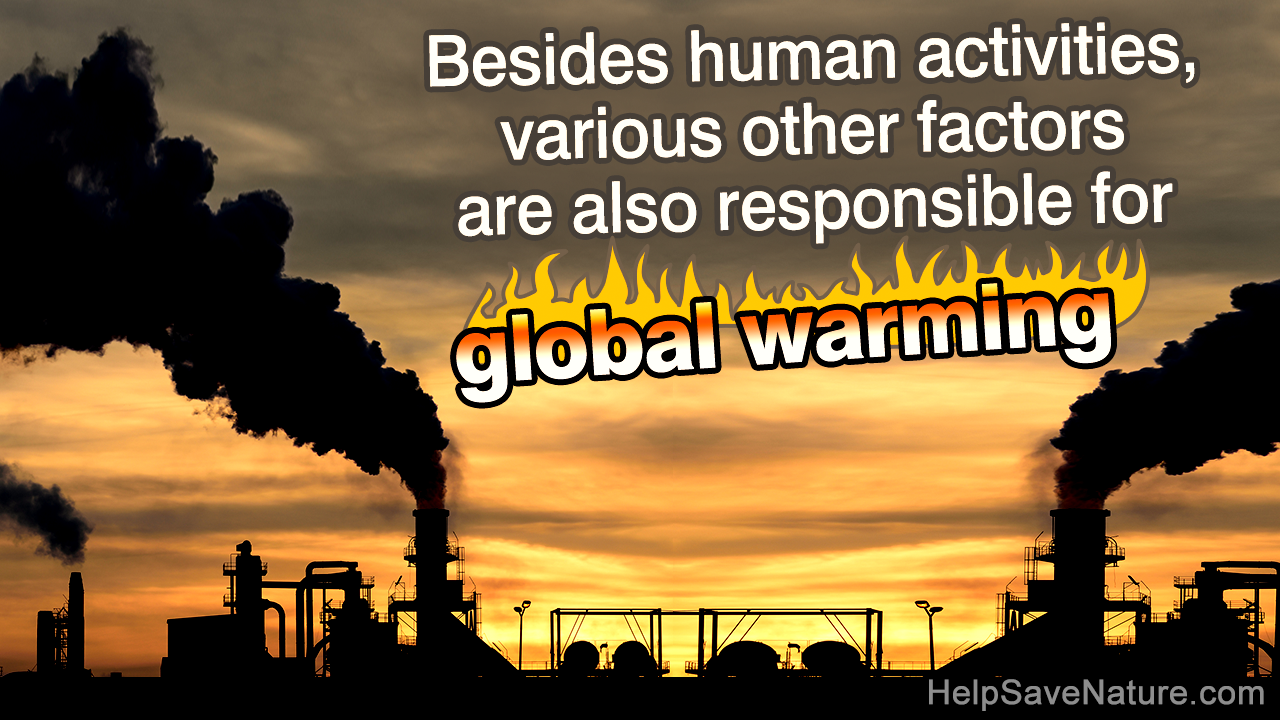 Arguments Against Global Warming