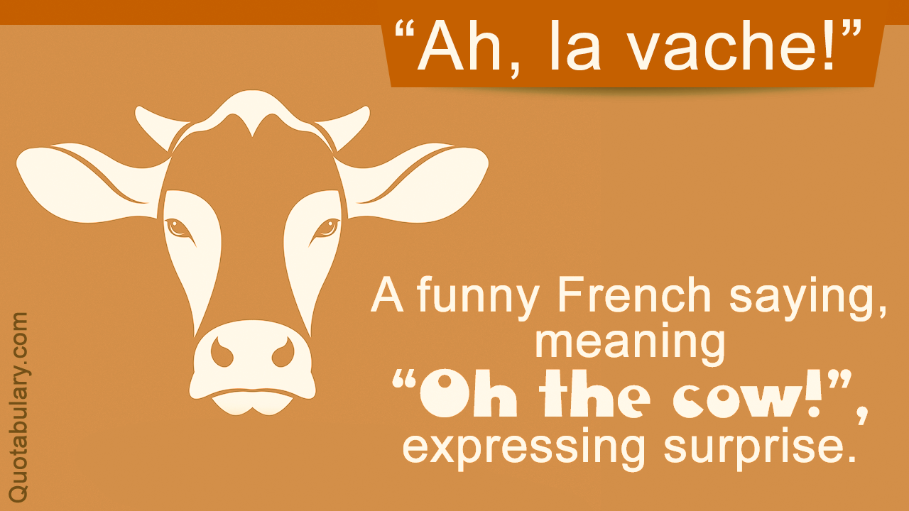 Funny French Sayings