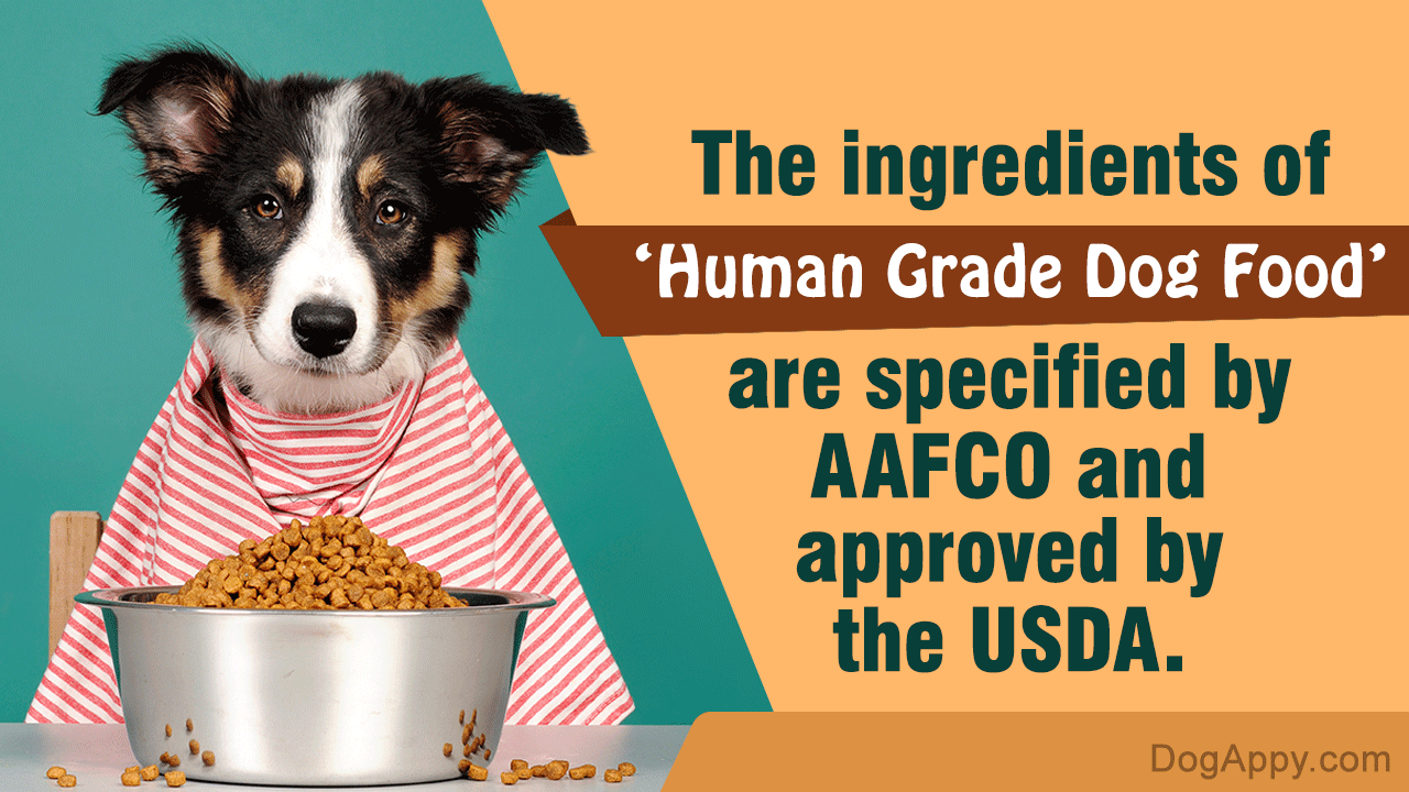 Human Grade Dog Food Brands