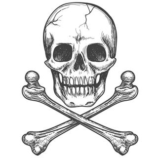 Skull And Crossbones Vector Illustration