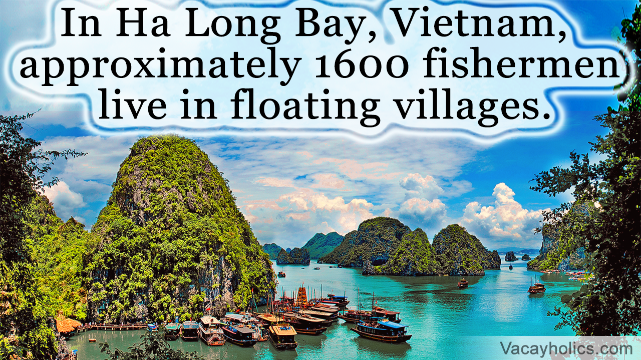 Things to Do in Ha Long Bay