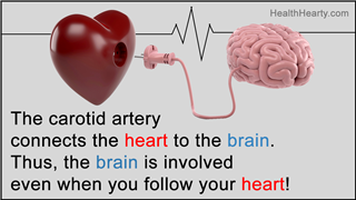Heart And Brain Connected With Power Plug Isolated