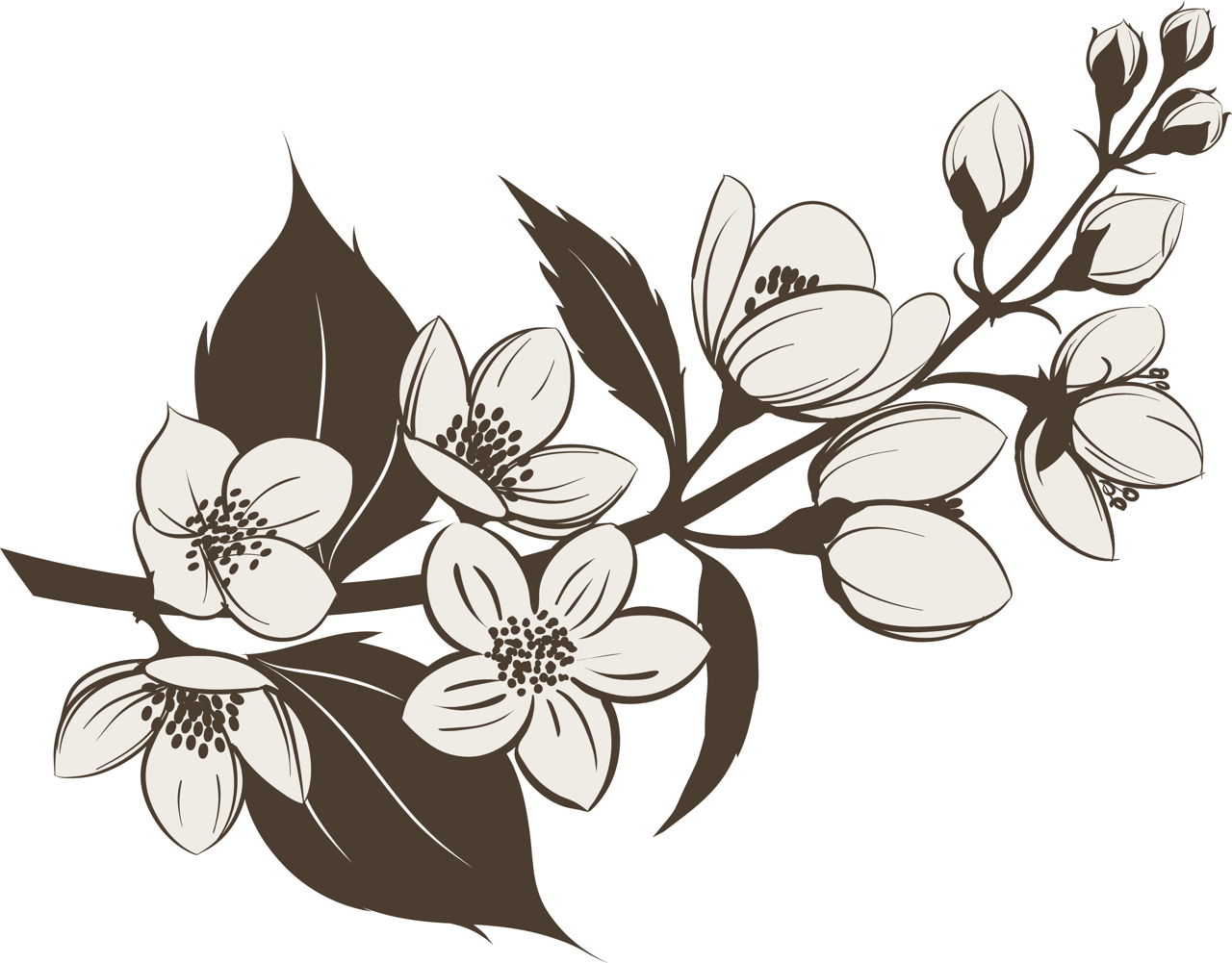 Jasmine Flower Tatto
