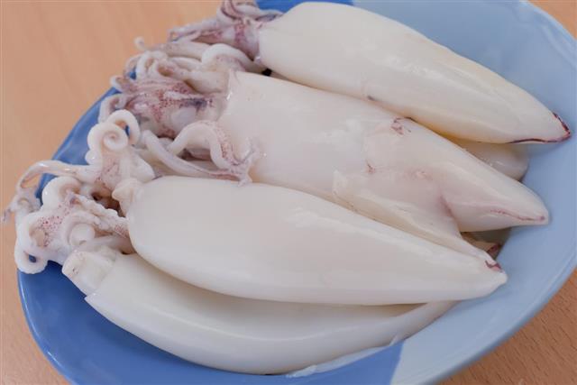 Fresh white squid on dish