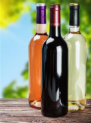Bottles of wine of different sort
