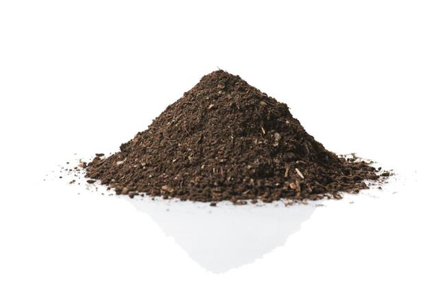 A small mound of soil