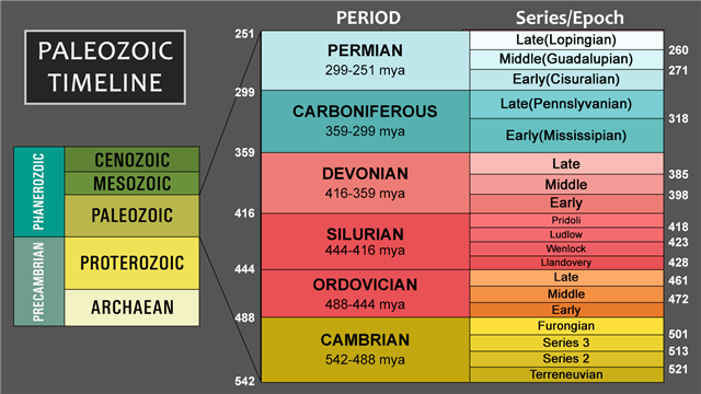 Paleozoic Era Timeline